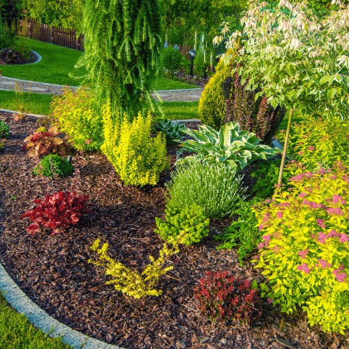 garden landscaping