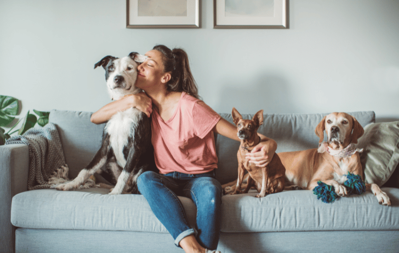 Tips and Advice for Taking Care of Pets at Home